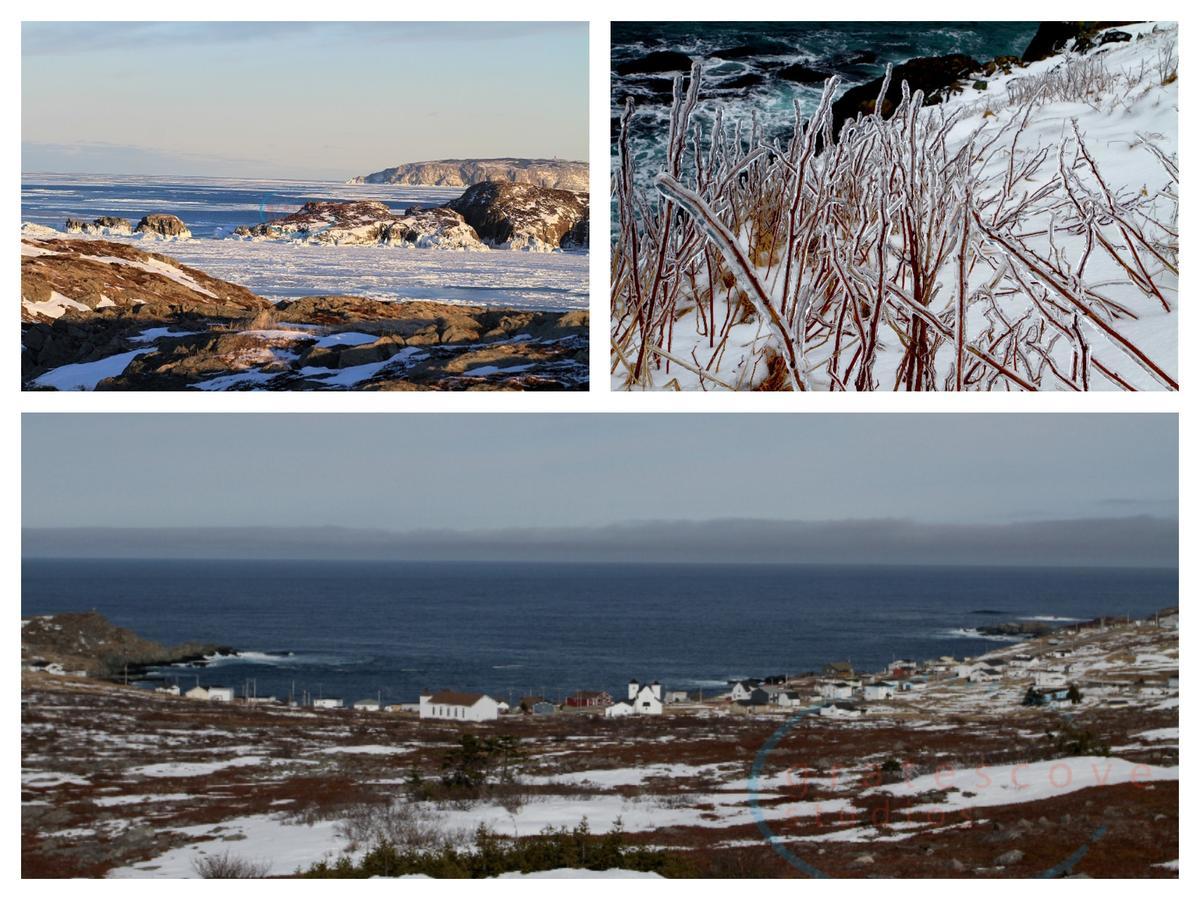 Grates Cove Studios: B&B In Historic Grates Cove מראה חיצוני תמונה