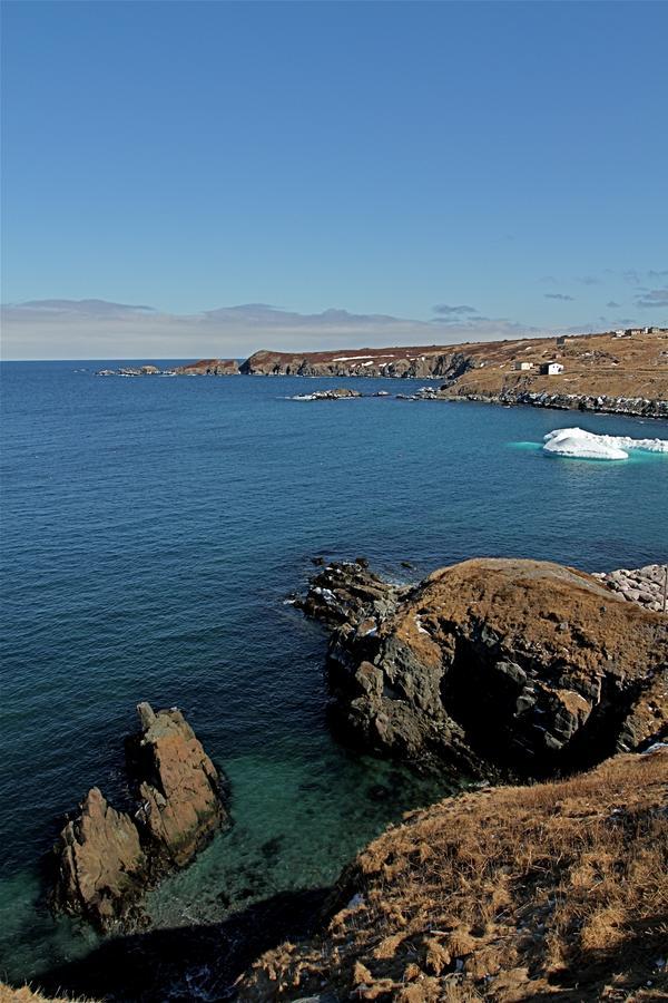 Grates Cove Studios: B&B In Historic Grates Cove מראה חיצוני תמונה
